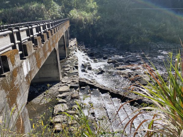 《雪山坑登山步道｜巨人之手森林秘境 Xueshankeng Hiking Trail & Giant2971208
