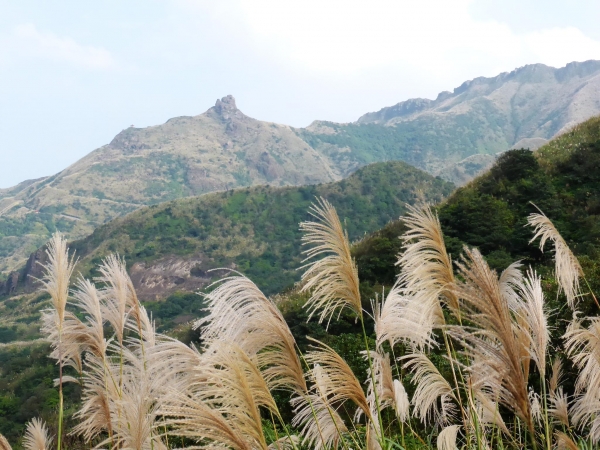 黃金山城尋寶趣5502