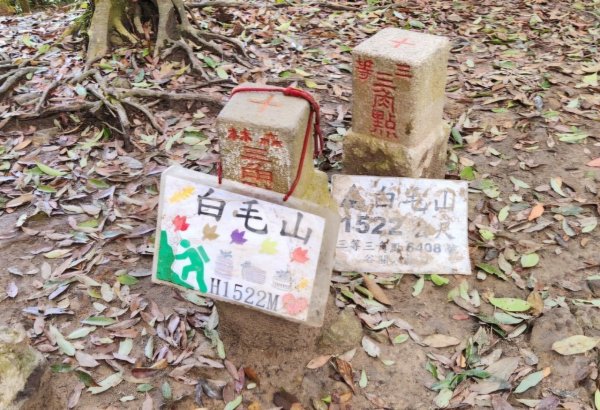 【中級山】天梯直上雲霄，一切美景盡在眼底，谷關七雄白毛山2742437