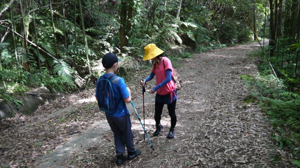 鵝公髻山登山健行趣(小百岳31號)1524809