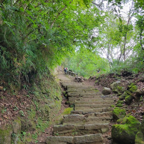 獅山古道（小百岳）1499887