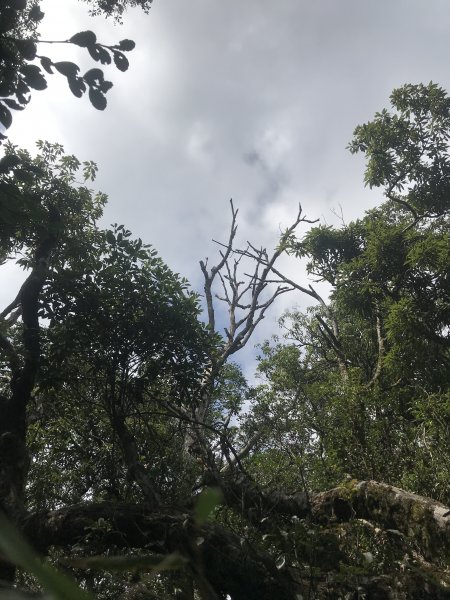 哈盆古道-波露南山-波露山O型走1475877