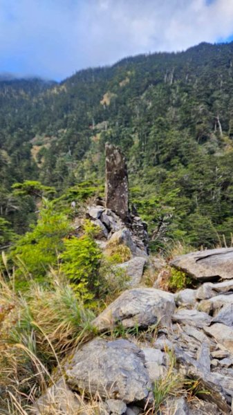 20251214合歡西北下華崗2963736