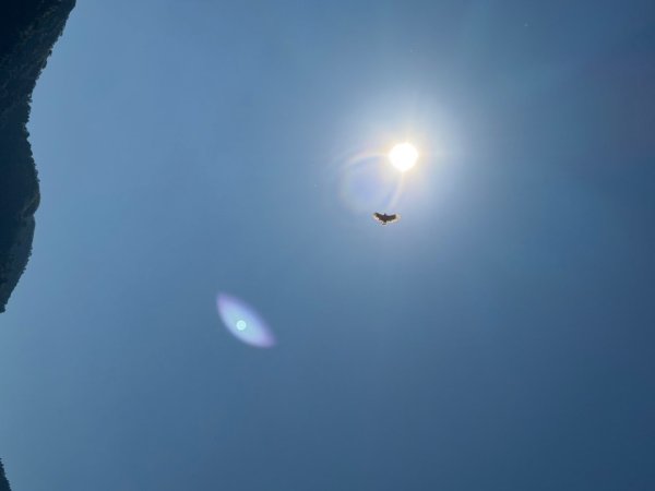 20250216瑞峰瑞里健行2730530