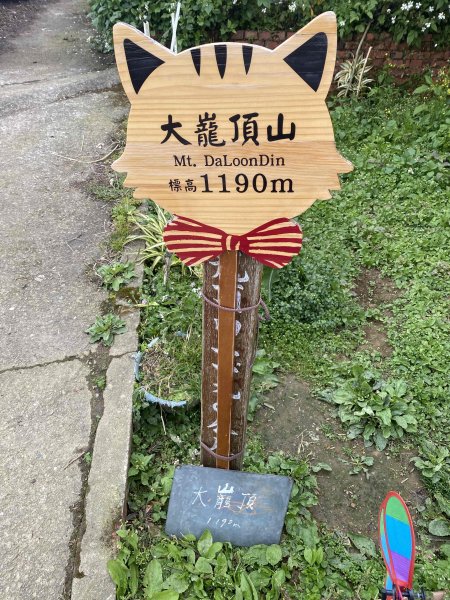 20250201孝子路步道、大巃頂2716425