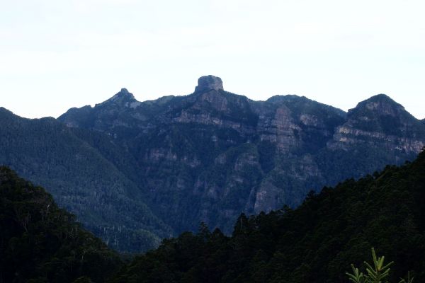 桃山獨走初秋175105