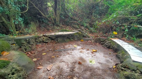 柴山之美~2934556