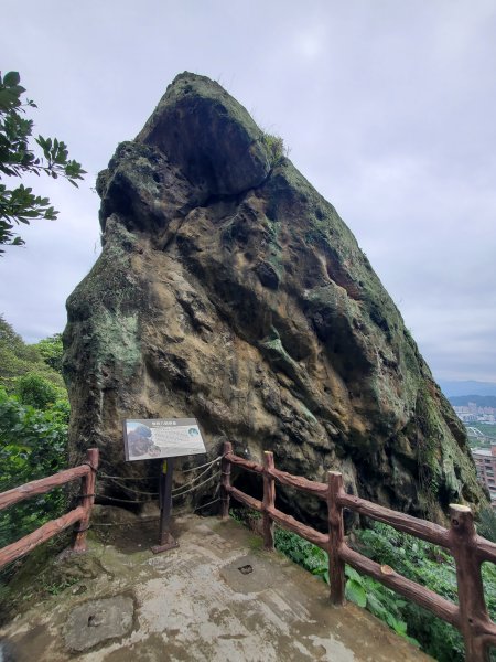鶯歌石，鶯歌石山，孫龍步道O走