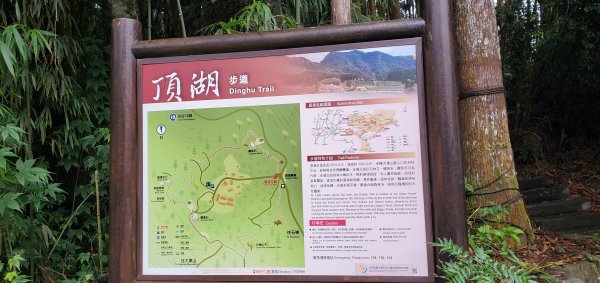 2025-01-18頂湖步道2694221