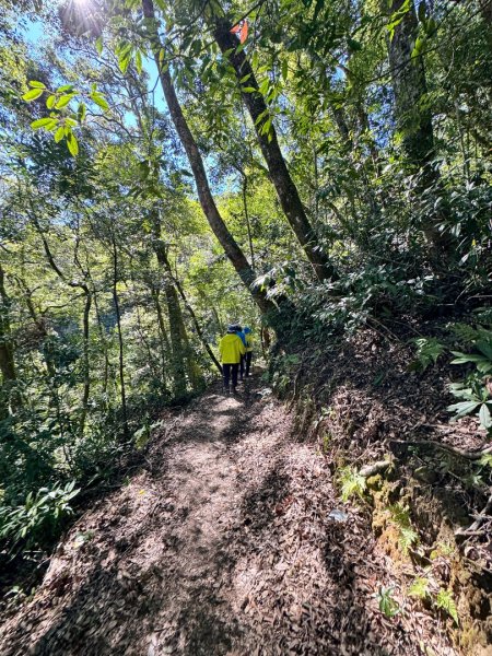 九穹神木 左訪嘉南雲峰 右到好望角看風景上石壁山(小百岳#55)2944782