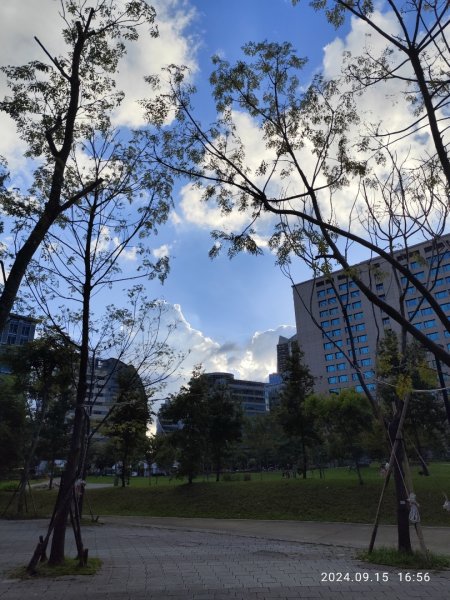 大安森林公園、劍潭公園、大港墘公園【走路趣尋寶】【臺北健走趣】2594677