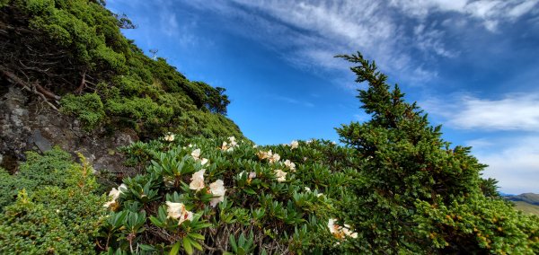 中年之熱血魂_一日合歡五連峰(合歡東峰、石門山、哈哈山、石門北峰、南哈哈山)2143624