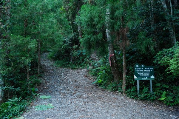 新竹 尖石 高台山、島田山2327028