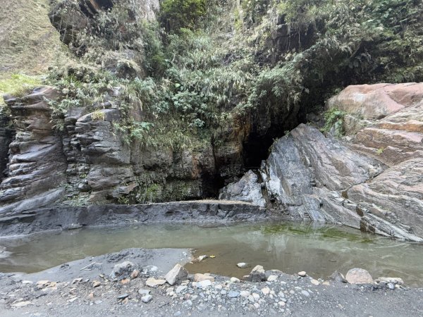 20250130 北港溪峽谷步道2702937