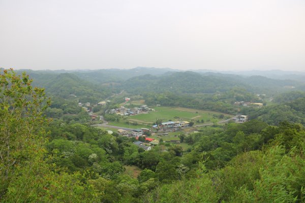 【苗栗。造橋】山林步道好愜意。 劍潭古道780829