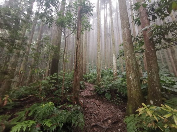 高台山來回934965