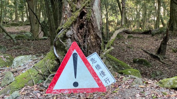 楠梓仙溪上南玉山1373063