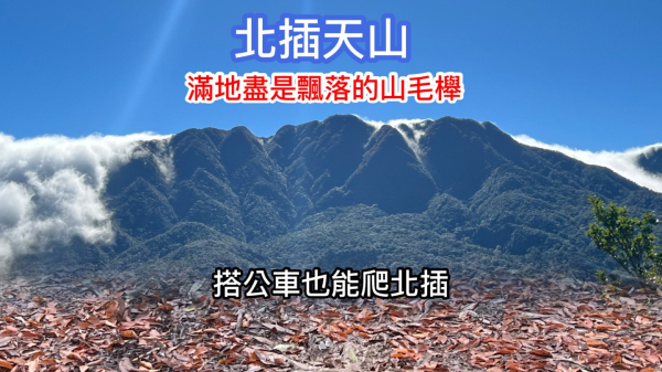 北插天山 滿地盡是飄落的山毛櫸 百岳行前練習場 搭公車爬山