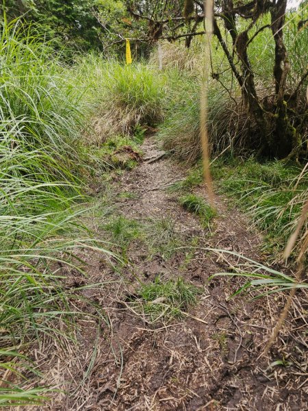 三星山-小百岳#85-宜蘭縣大同鄉2827536