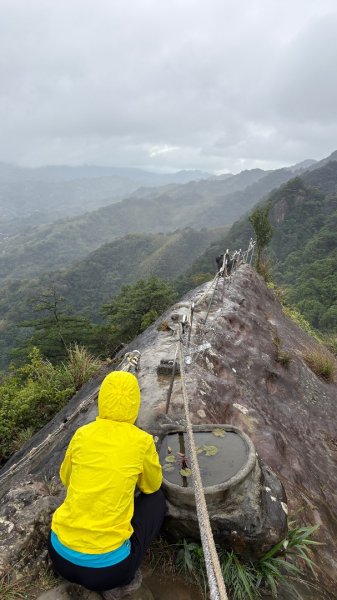 迎新（2026元旦2975597