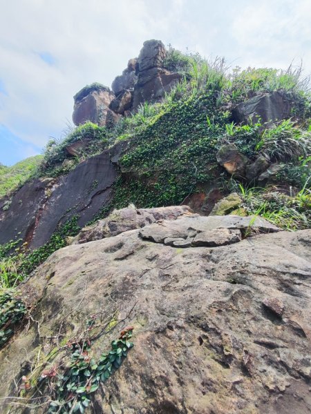 南雅山-門牙岩-鐵達尼岩-海園古道-鼻頭角3040497