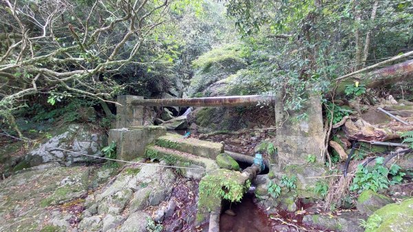 楓樹湖古道登面天北稜上面天山2782206