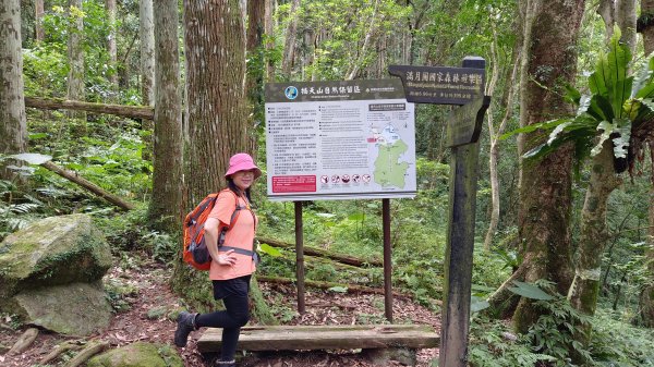 (姨婆趴趴走)第十六集:東滿步道，台灣百大必訪步道2220537