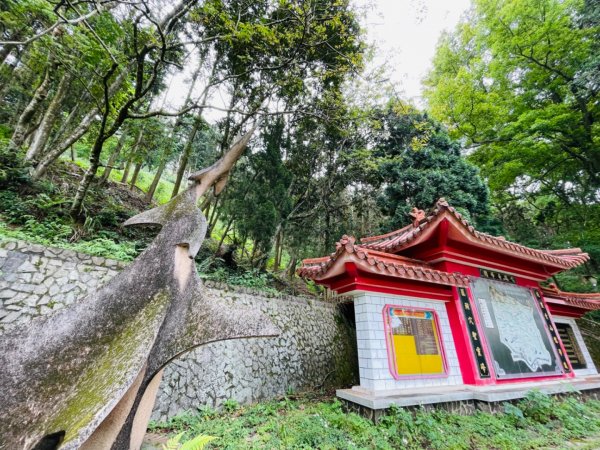 1110416三湖山｜鳴鳳-南隘勇-龍骨-綠色-延平古道0605/08271679455