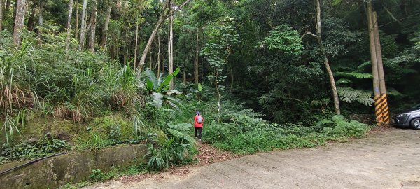 2025/07/06_金牌縱走(觀音洞出發小O型)2829093