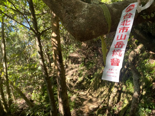 2025微笑山線大縱走尋寶集章任務-Ep.10【五分山系】菁桐煤礦段｜石筍尖 ×2914473