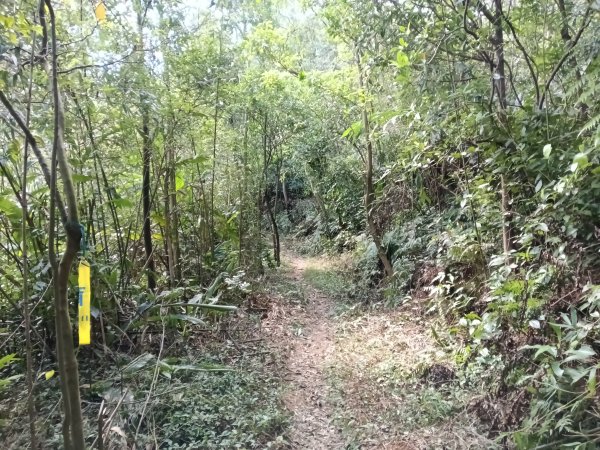 基隆市/萬里區界寮縱走之三界山+三界山西峰+開眼尖山+七分寮山+瑪七產道山泉水接水亭2979594