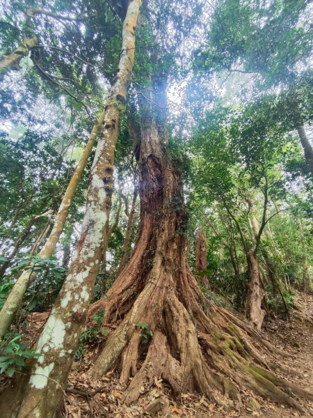 馬那邦山2666826