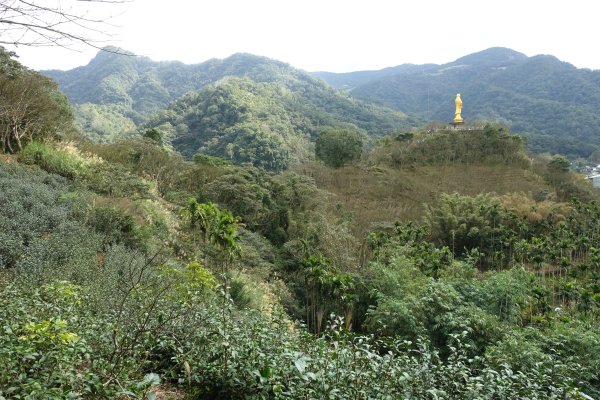 觀音台 水柳腳登山步道3085160