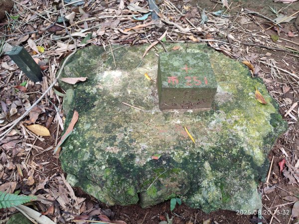 【臺北大縱走 1+2】2-2 大屯主峰-連峰步道→下青礐步道→貴子坑步道→忠義山步道→楓丹白露步道2866916