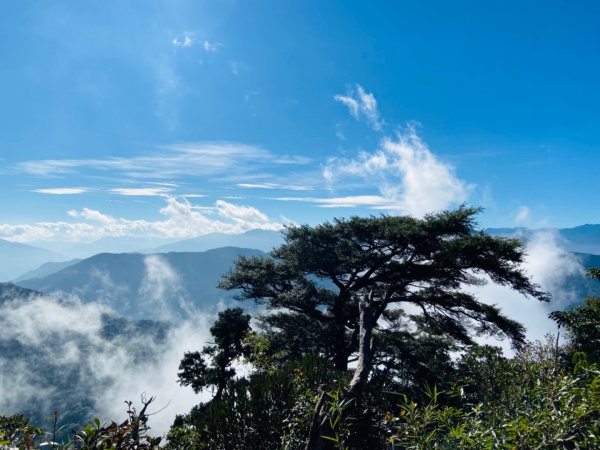 2021/11/6 北得拉曼好風光～山毛櫸-雲海-巨木1505153