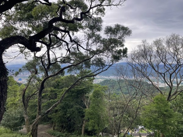 【大棟山系】405高地段2844916