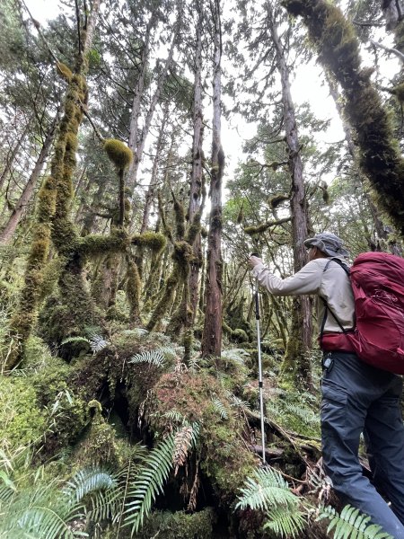 魔幻森林三星山與三星池1658310