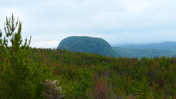 南九州－櫻島有村溶岩,桷志田,高千穗牧場,霧島神宮3063830