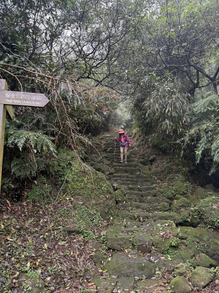 七星山 冷水坑上小油坑下環七星山人車分道O繞 202511082934909