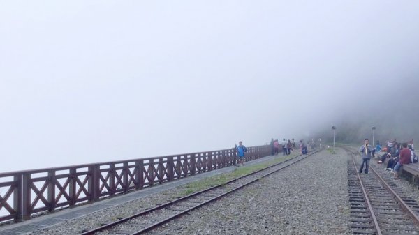 【二萬平車站火車時】2019阿里山私房景691784