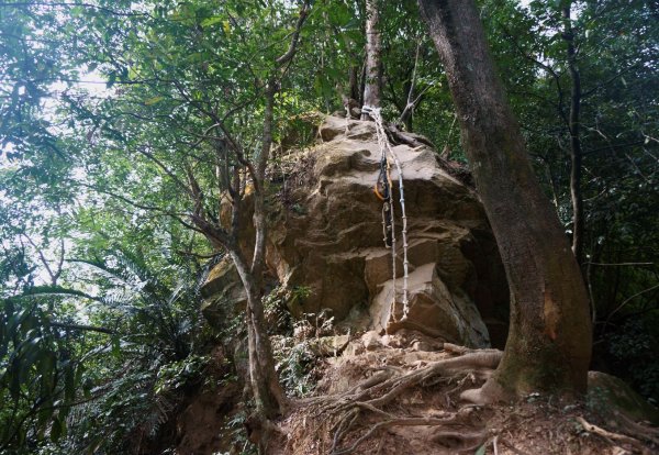 五寮尖登山步道1383122