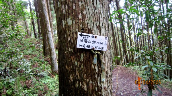 【油羅山/露營】 仙境舒活健走，雲端徜徉野趣！2887910