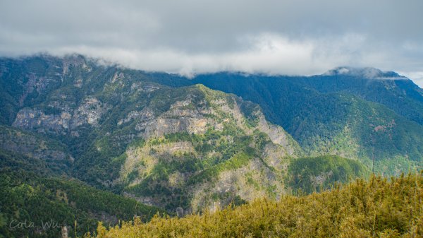 雪山東峰壯麗的山景&動植物1521806