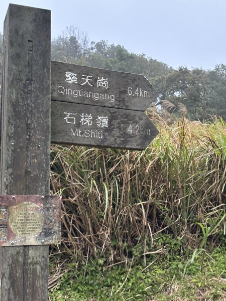 陽明山東西大縱走-東段2984514