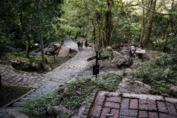 滿月圓森林步道2870092
