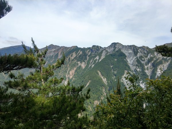 高雄/花蓮/台東-嘉明湖-向陽山-三叉山3053709