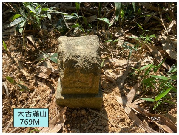 頭社水庫、大舌滿山2757565