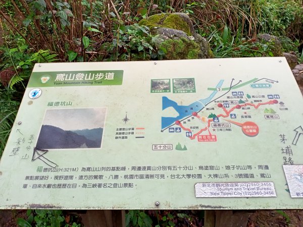 【小百岳集起來】鳶山登山步道【南山神壽任務尋寶趣】鳶山彩壁、福德坑山步道1580842