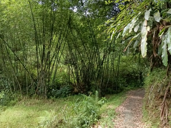 平溪區平溪子山遇雷雨O型2850084