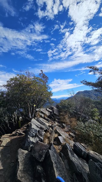 251212-【熱門不代表輕鬆！】🔥雖說鳶嘴稍來是中部熱門登山路線，但它可不是人人都能征服的美。2961977
